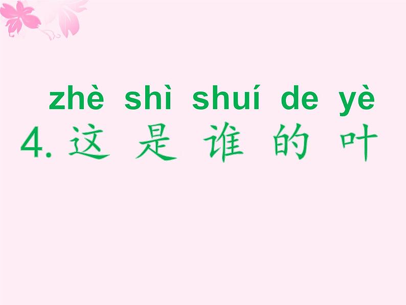 4教科版科学 . 这是谁的叶课件PPT第2页
