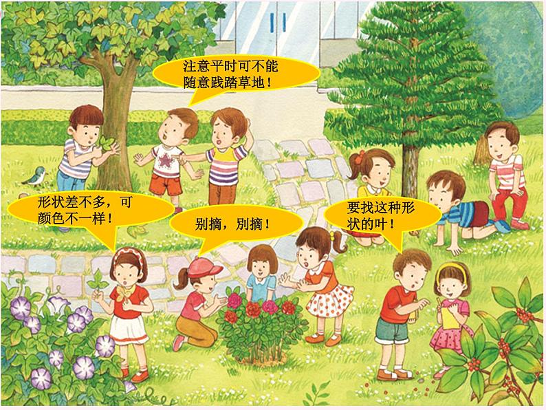 4教科版科学 . 这是谁的叶课件PPT第8页