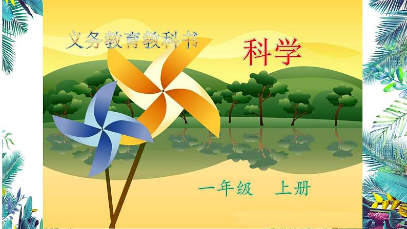 3教科版科学 . 观察叶课件PPT01