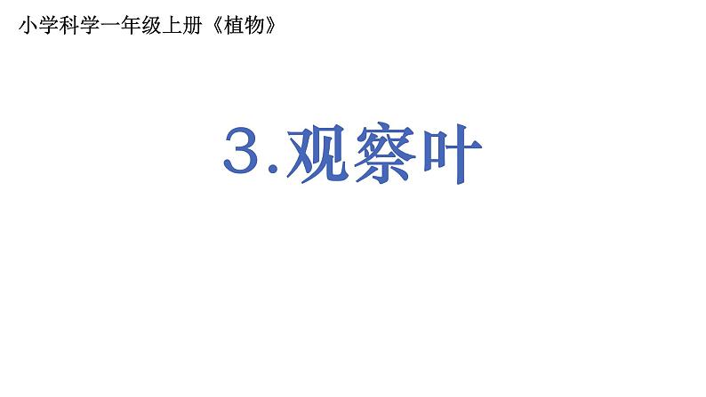 1教科版科学 .1.3《观察叶》课件PPT第1页