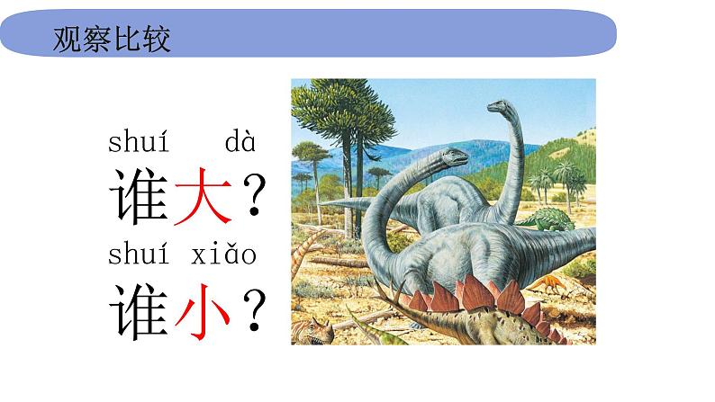 1教科版科学 .2.1《在观察中比较》课件PPT03
