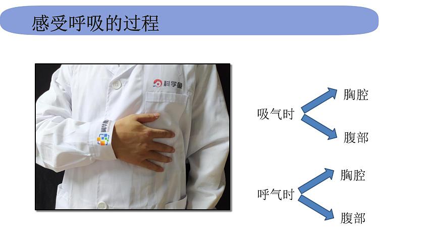 4教科版科學(xué) .2.1《感受我們的呼吸》課件PPT第3頁