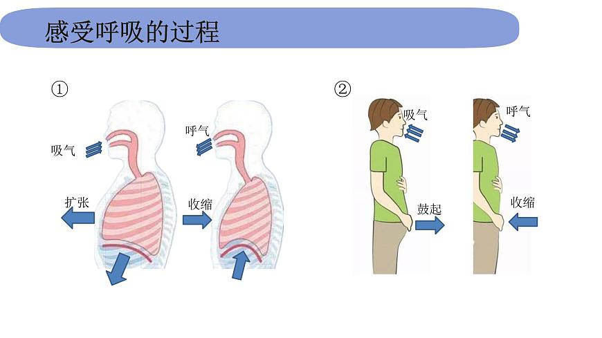 4教科版科學(xué) .2.1《感受我們的呼吸》課件PPT第4頁