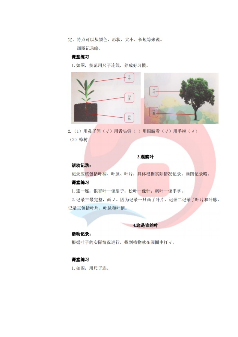 教科版（新版）小学科学一年级上册作业本参考答案（新教材） 试卷练习02