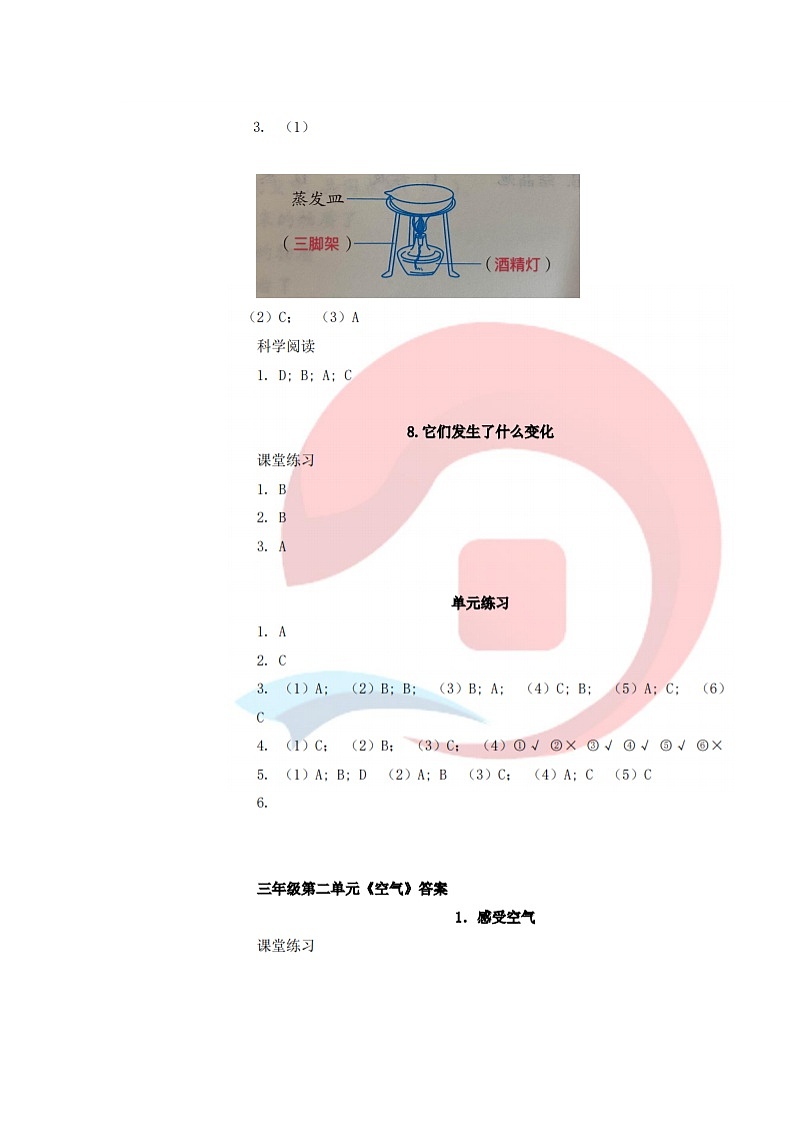 教科版(新版)小学科学三年级上册作业本参考答案(新教材) 试卷练习03