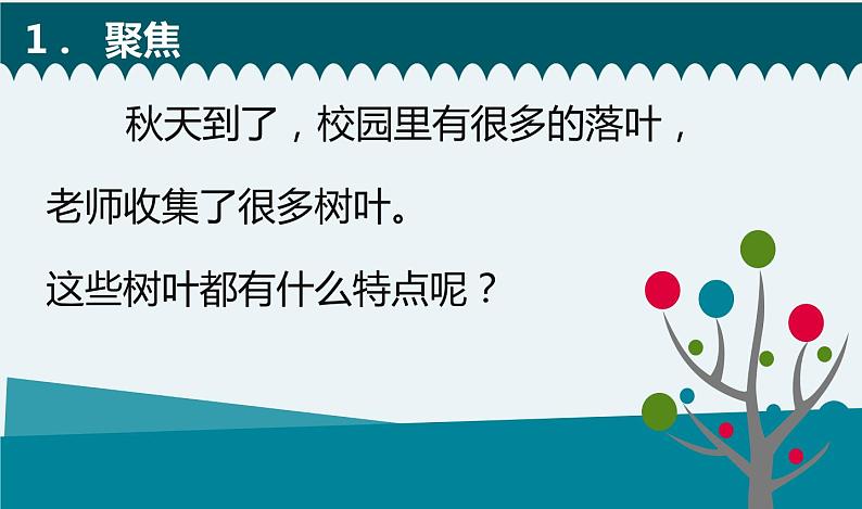 教科版科学 《观察叶》课件02