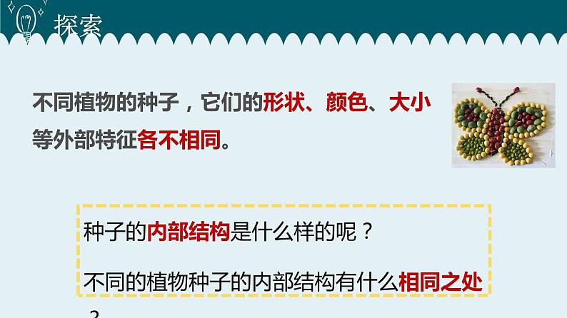 1教科版科学 .1 种子里孕育着新生命课件PPT08