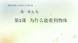 第1課《為什么能看到物體》教學課件+教材分析 粵教版小六科學上冊