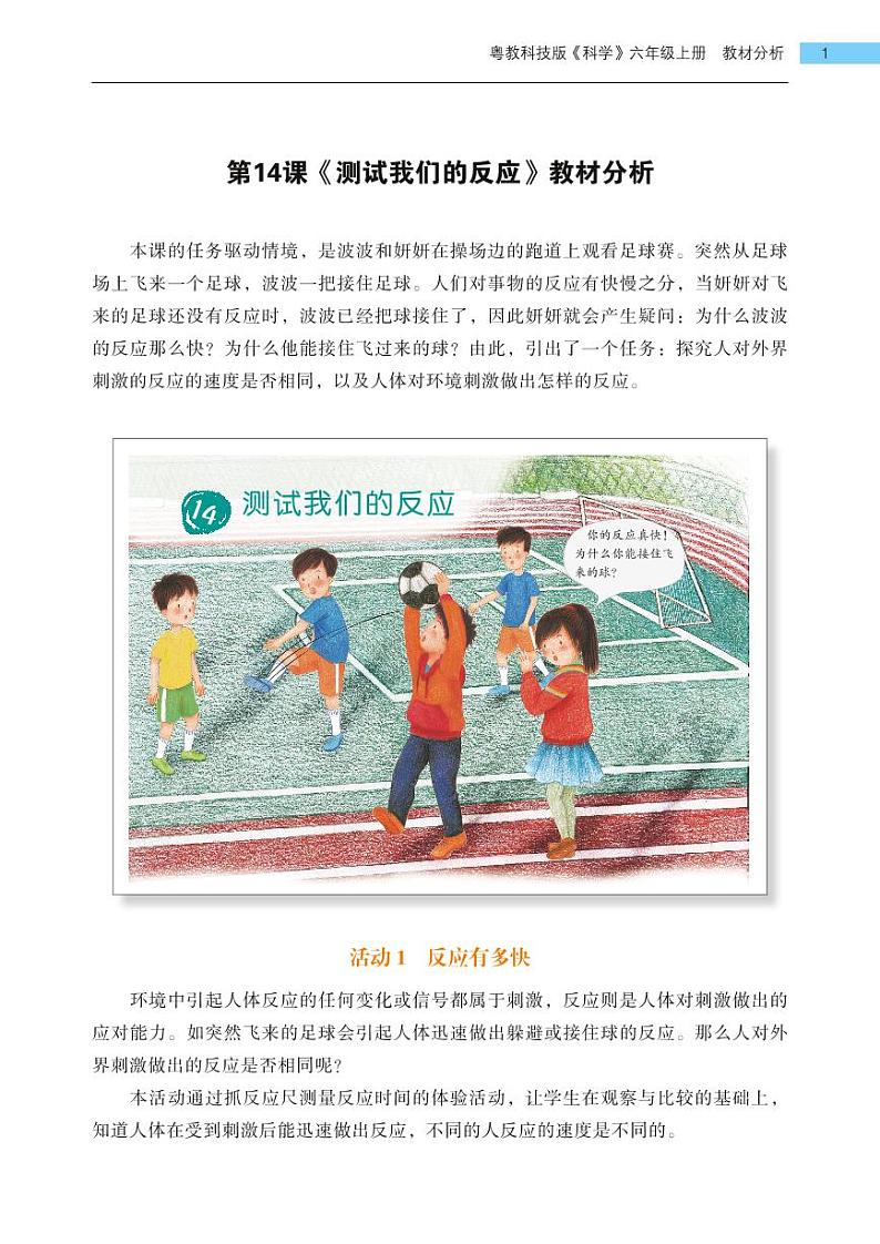 第14课《测试我们的反应》教学课件+教材分析 粤教版小六科学上册01
