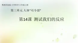 第14課《測試我們的反應》教學課件+教材分析 粵教版小六科學上冊