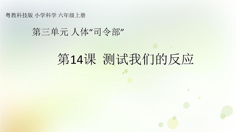 第14课《测试我们的反应》教学课件+教材分析 粤教版小六科学上册01