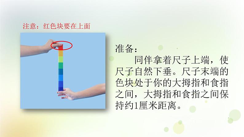 第14课《测试我们的反应》教学课件+教材分析 粤教版小六科学上册06