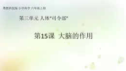 第15課《大腦的作用》教學課件+教材分析 粵教版小六科學上冊