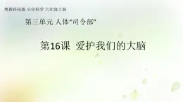 第16課《愛護我們的大腦》教學課件+教材分析 粵教版小六科學上冊