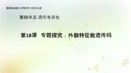 第18課《專題探究：外貌特征能遺傳嗎》教學課件+教材分析 粵教版小六科學上冊