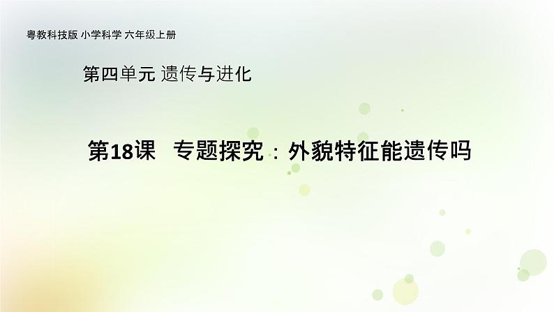 第18课《专题探究:外貌特征能遗传吗》教学课件+教材分析 粤教版小六科学上册01