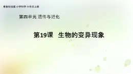 第19課《生物的變異現(xiàn)象》教學課件+教材分析 粵教版小六科學上冊