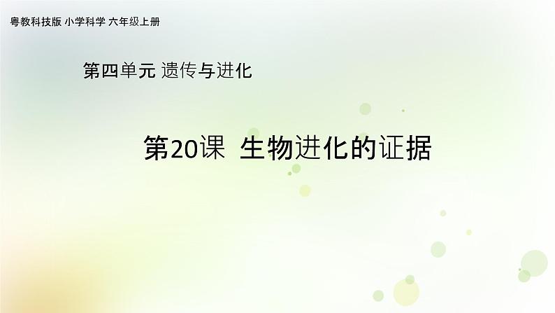 第20课《生物进化的证据》教学课件+教材分析 粤教版小六科学上册01