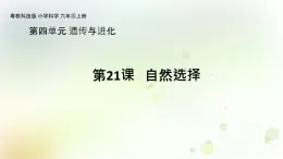 第21課《自然選擇》教學課件+教材分析 粵教版小六科學上冊