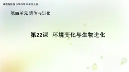 第22課《環(huán)境變化與生物進化》教學課件+教材分析 粵教版小六科學上冊