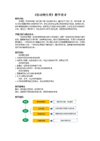 小学科学教科版 (2017)一年级下册6.给动物分类教案设计