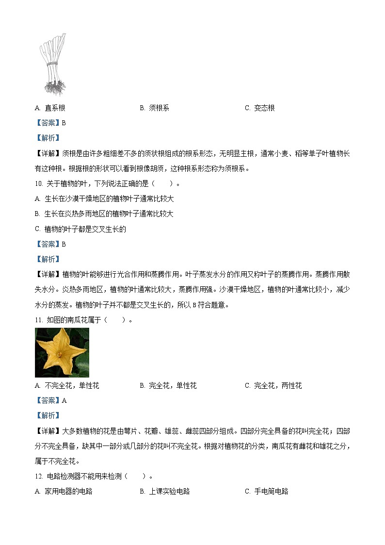 精品解析:2020-2021学年江苏省教科版四年级下册期末联考科学试卷(解析版)第3页