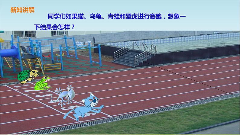 粤教版三年级上册科学1.3《壁虎与小猫》课件PPT第6页