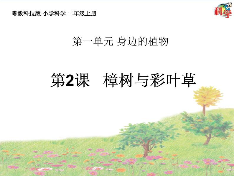 粤教粤科版科学二年级上册第2课《樟树与彩叶草》教学课件第1页
