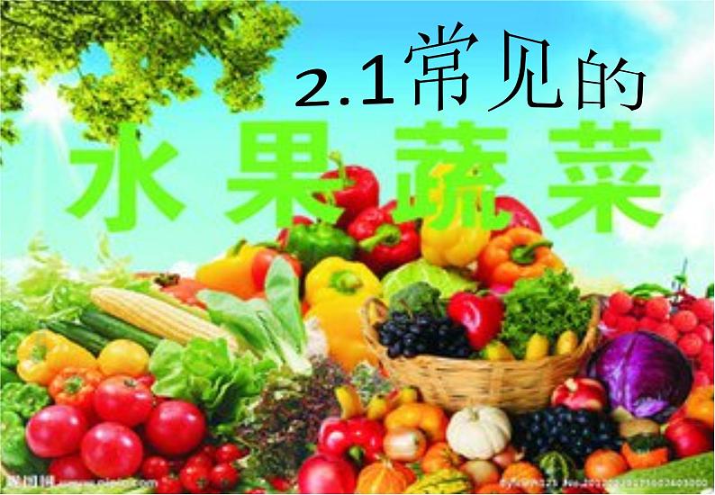 粤教版一年级上册科学2.1常见的水果和蔬菜课件第1页