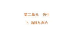 2021-2022学年苏教版五年级下学期科学7海豚与声呐课件