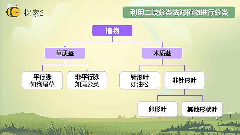2.2制作校园生物分布图(课件)教科版(2017)科学六年级下册第8页
