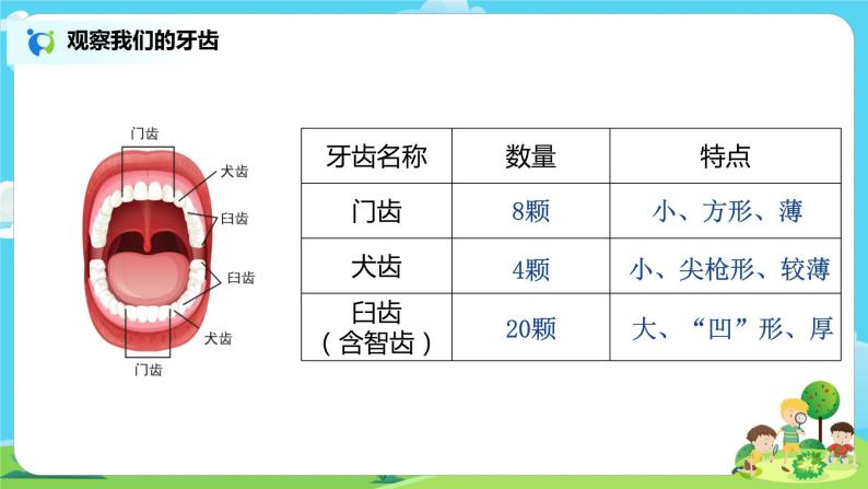 4.2.7《食物在口腔里的变化》课件+教案06