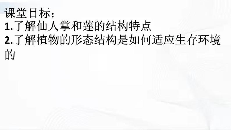冀人版科学三年级下册 第6课-仙人掌与莲 教学课件第3页