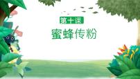 冀人版 (2017)三年级下册10 蜜蜂传粉公开课教学课件ppt