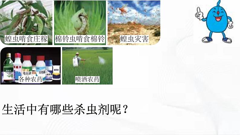 冀人版科学三年级下册 第12课-杀虫剂对生物的影响 教学课件第5页