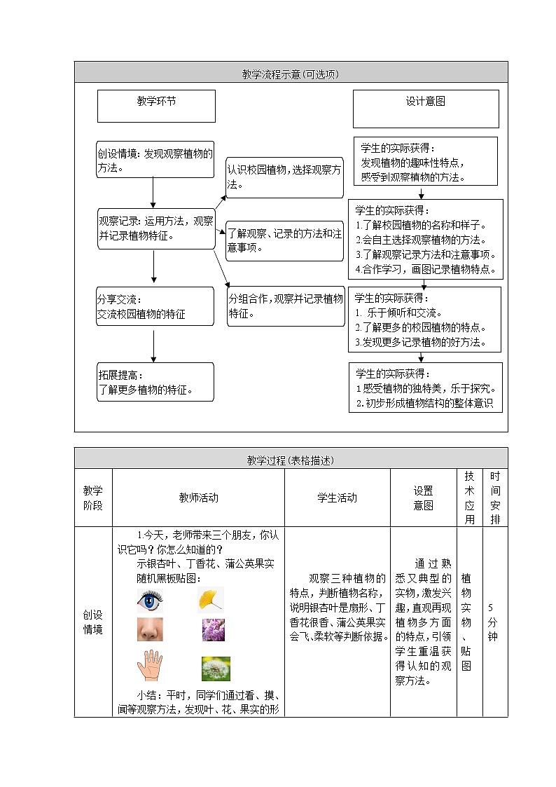 鄂教人教版科学一年级下册 3 观察校园里的植物 教案02