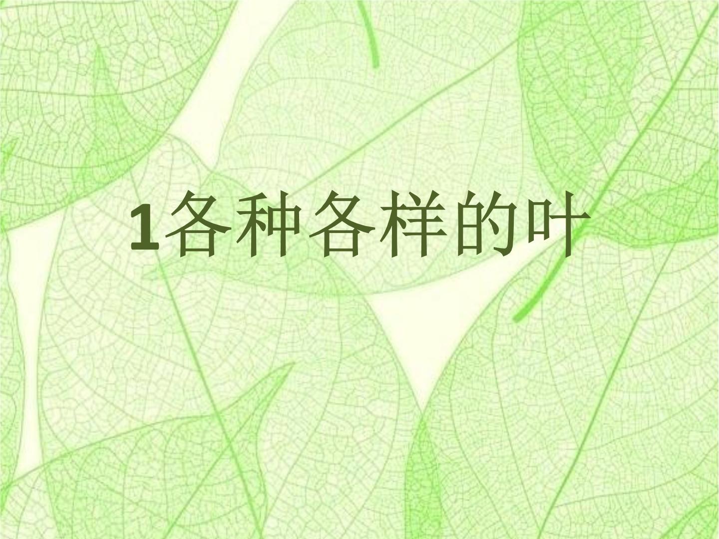 鄂教人教版科学一年级下册课件PPT整套