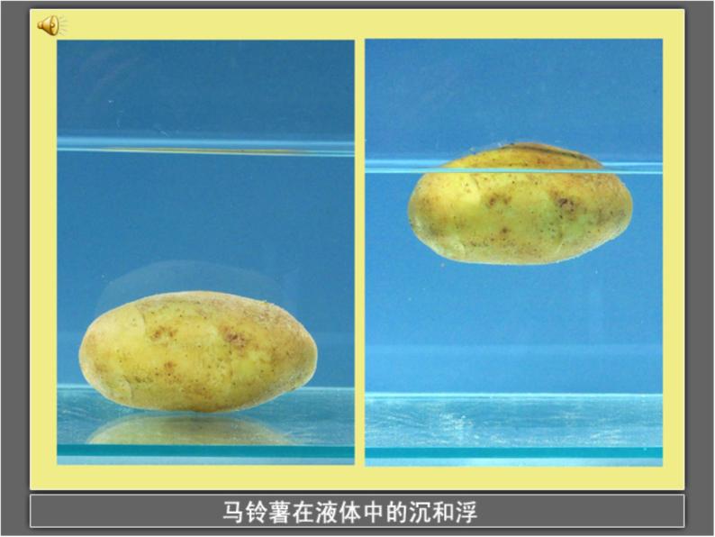 苏教版五下科学课件马铃薯在液体中的沉浮 (1)05