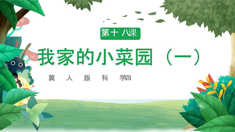 冀人版科学四年级下册 第18课-我家的小菜园(一) 教学课件01