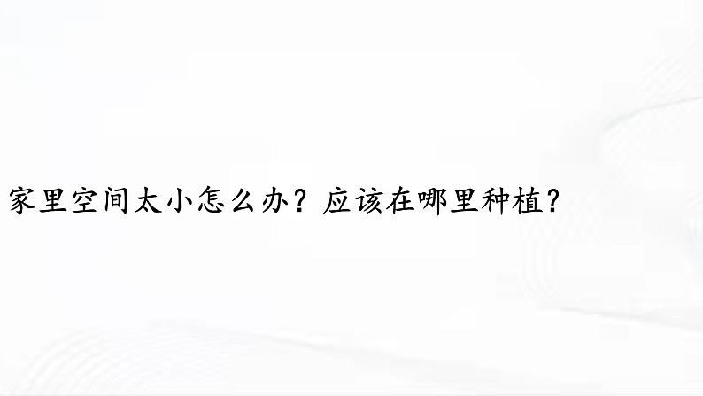 冀人版科学四年级下册 第18课-我家的小菜园(一) 教学课件08