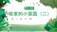 科学冀人版 (2017)19 我家的小菜园（二）精品教学ppt课件