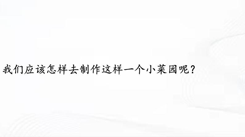 冀人版科学四年级下册 第19课-我家的小菜园(二) 教学课件第6页