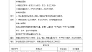 小学科学教科版 (2017)三年级上册6.观察云教案