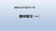《期中复习（一）》公开课教学PPT课件 冀人版科学五下