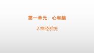 小学青岛版 (六三制2017)第一单元 心和脑2 神经系统课堂教学课件ppt