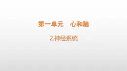 小学科学青岛版六三制五年级下册第一单元第2课《神经系统》课件（2022新版）.docx