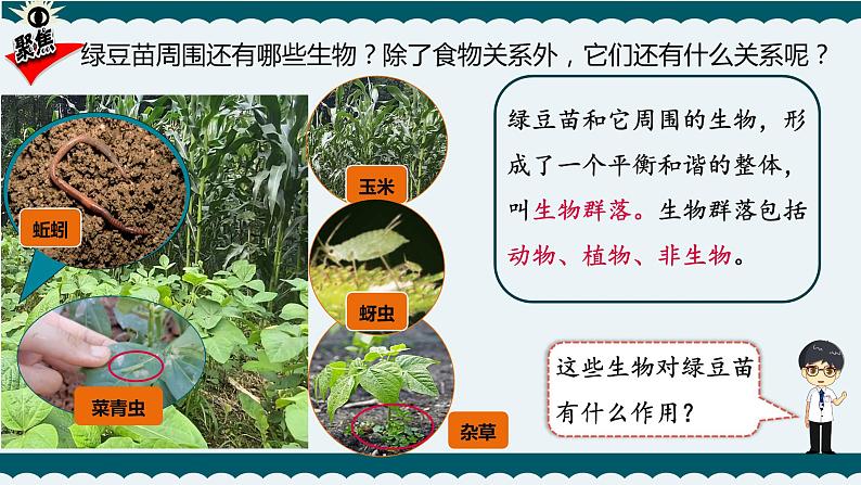 7.设计和制作一个生态瓶课件PPT02