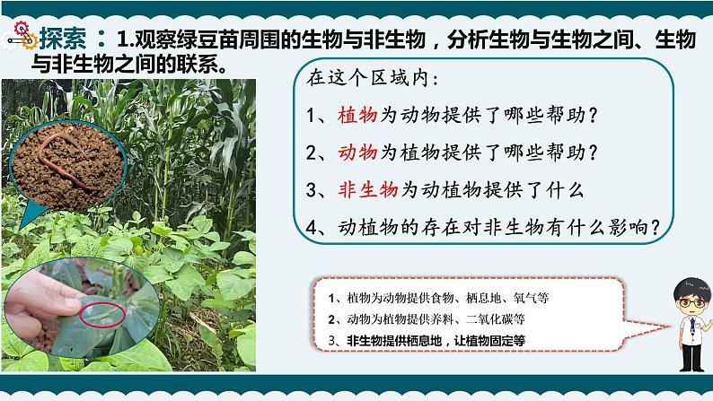 7.设计和制作一个生态瓶课件PPT03