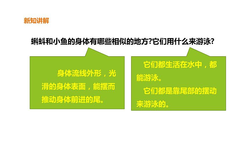 粵教版三年級上冊科學(xué)1.1《鯽魚與青蛙》課件第4頁