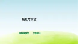 粤教版三年级上册科学1.2《蜻蜓与麻雀》课件